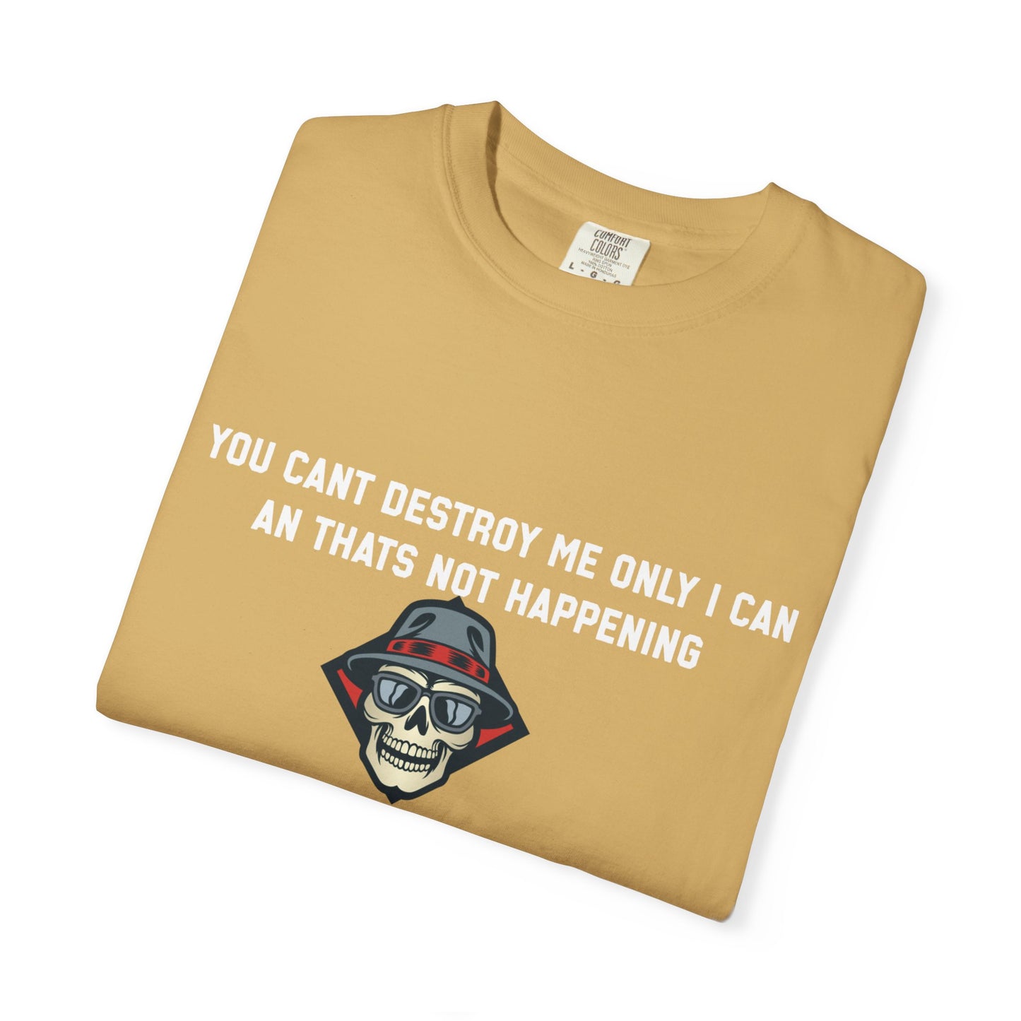You cant destroy me only i can an thats not happening