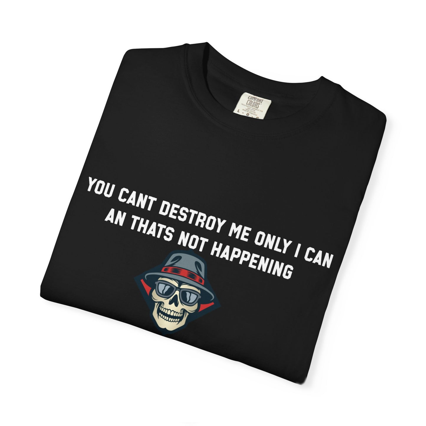 You cant destroy me only i can an thats not happening