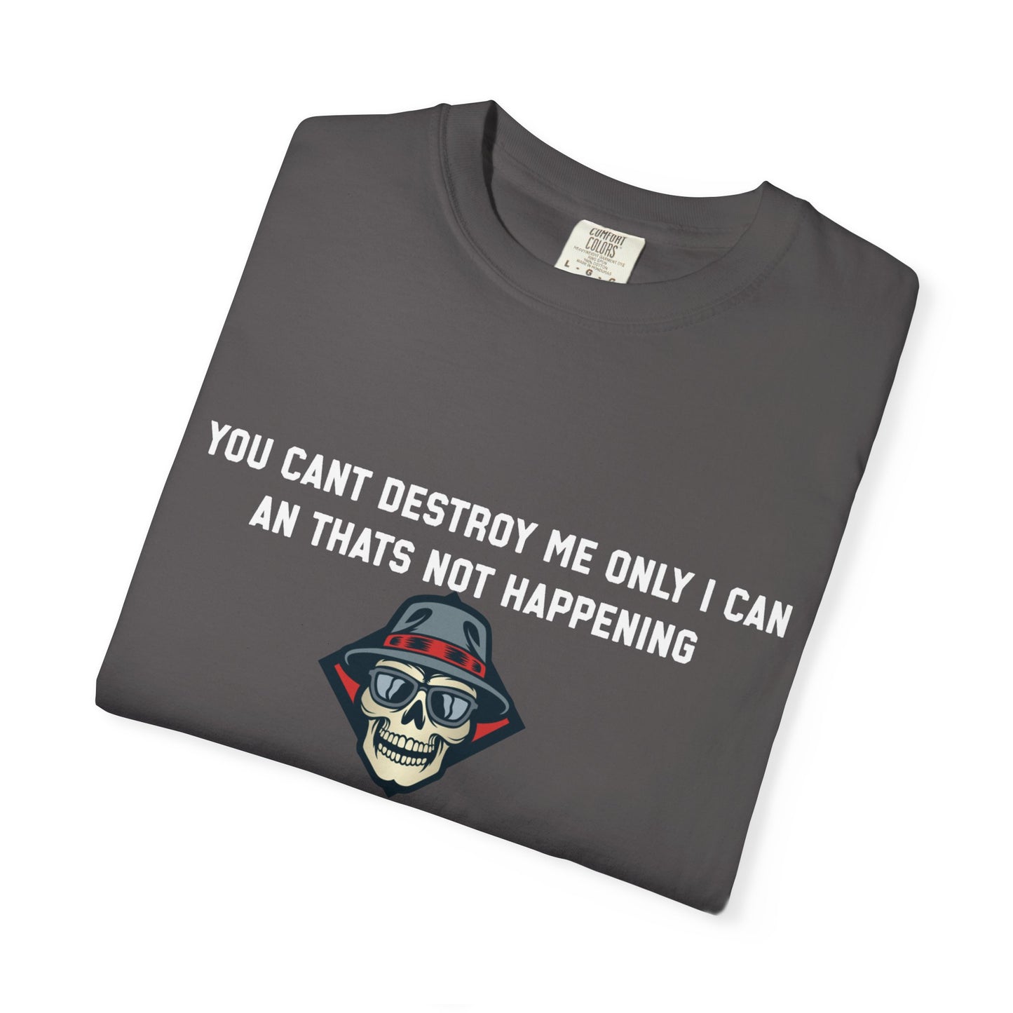 You cant destroy me only i can an thats not happening