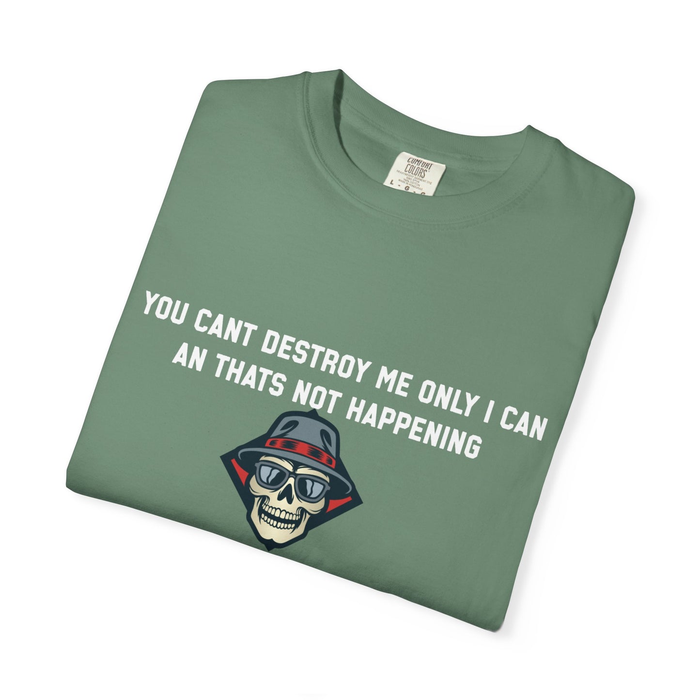 You cant destroy me only i can an thats not happening