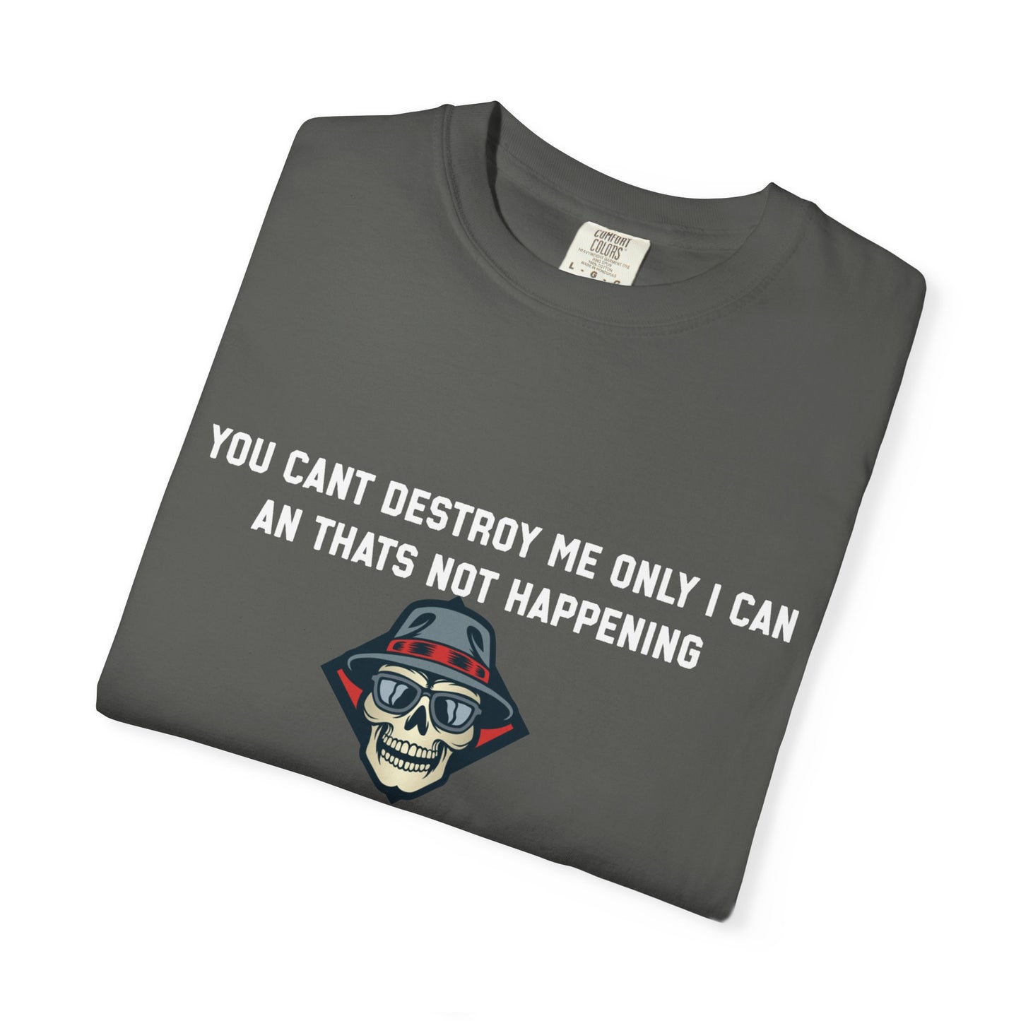 You cant destroy me only i can an thats not happening
