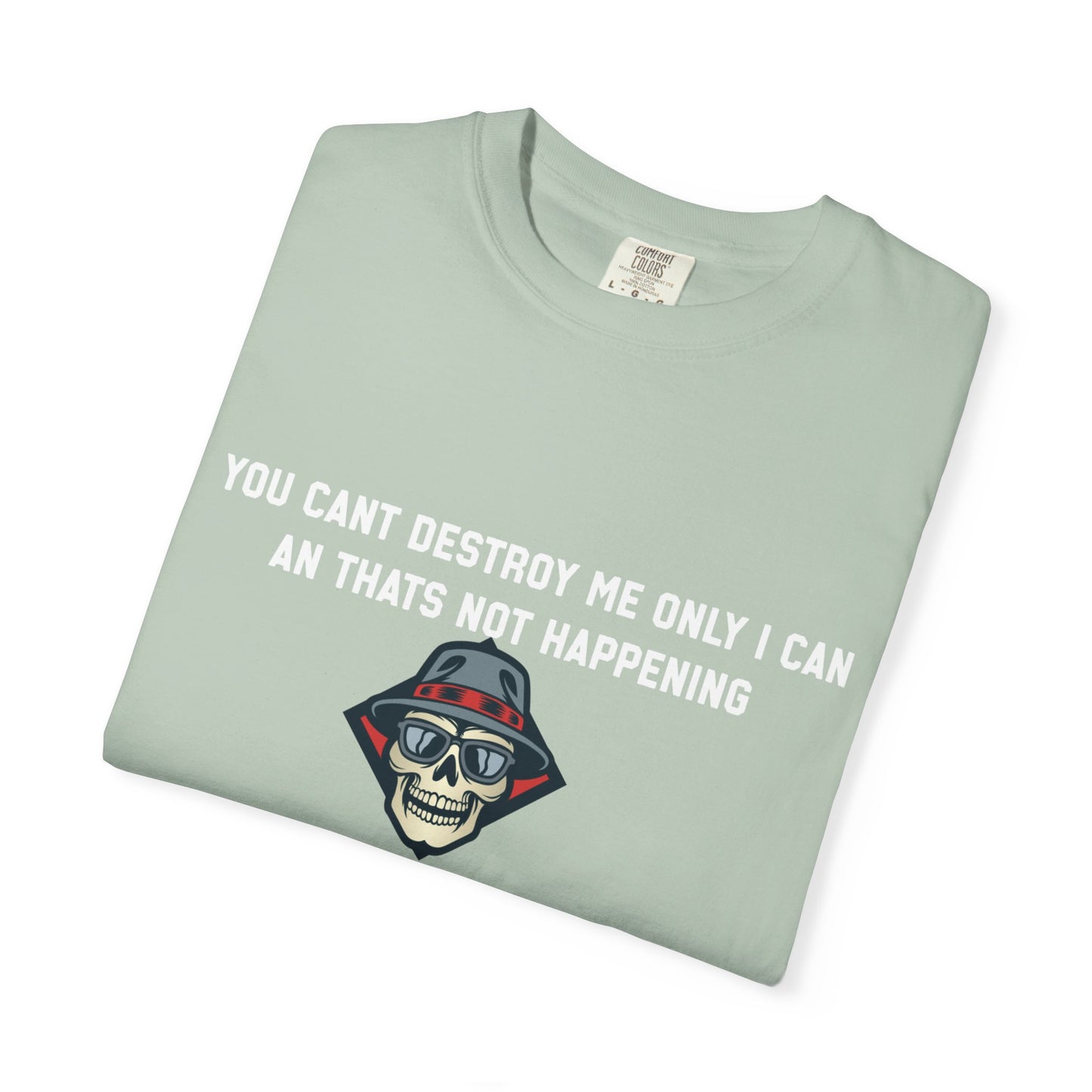 You cant destroy me only i can an thats not happening